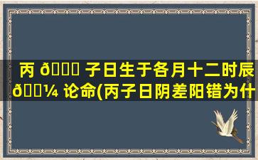 丙 🐎 子日生于各月十二时辰 🌼 论命(丙子日阴差阳错为什么上等)